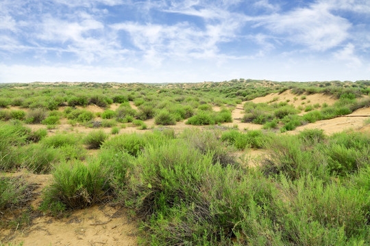 0hTpeLrAcwFaYWLdnYei À¼¿Æ²©ÞÄ¡¤RankBet(Öйú)ÓÐÏÞ¹«Ë¾¹ÙÍø